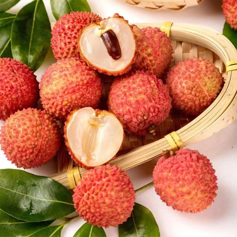 【顺丰/京东冷链】广东正宗桂味荔枝当季新鲜水果核小肉厚现摘现发