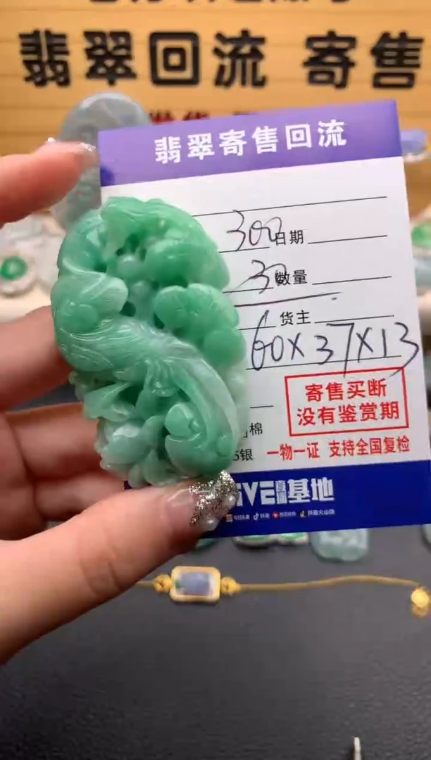 【闪购商品】翡翠颈饰未镶嵌21012893