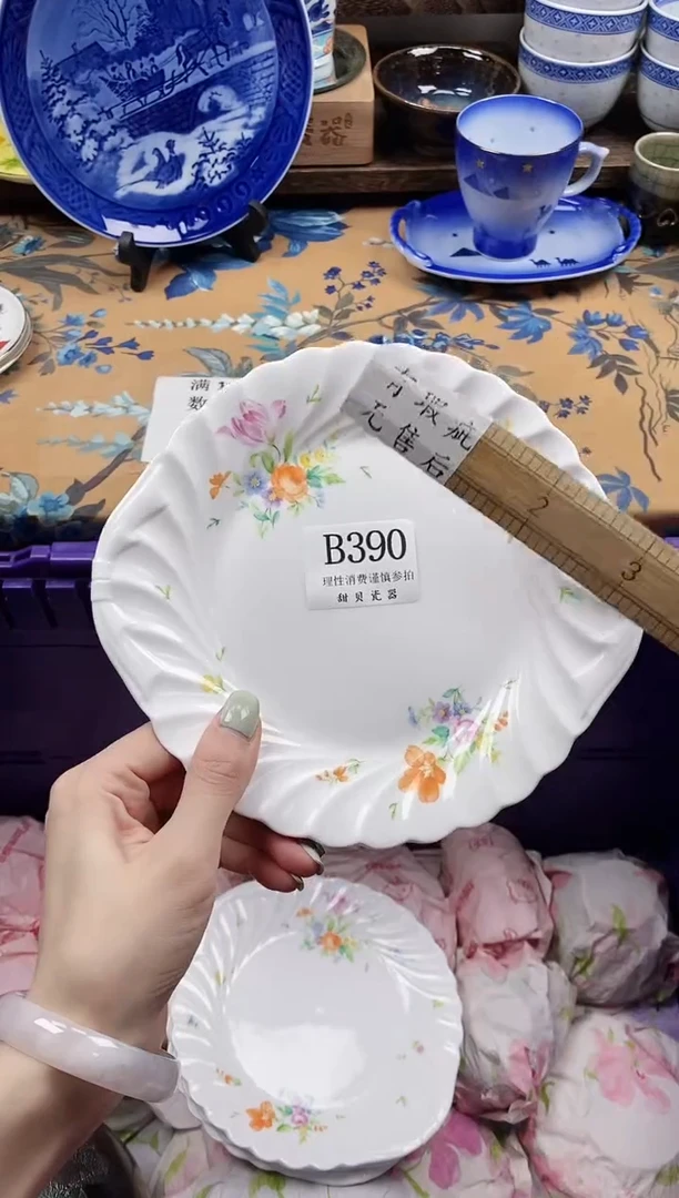 瓷片粒*                B390