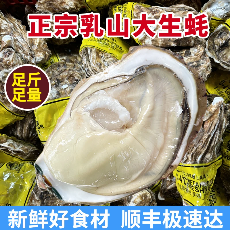 乳山生蚝 鲜活肥美 包活包鲜 特大刺身级  节日送人 10斤