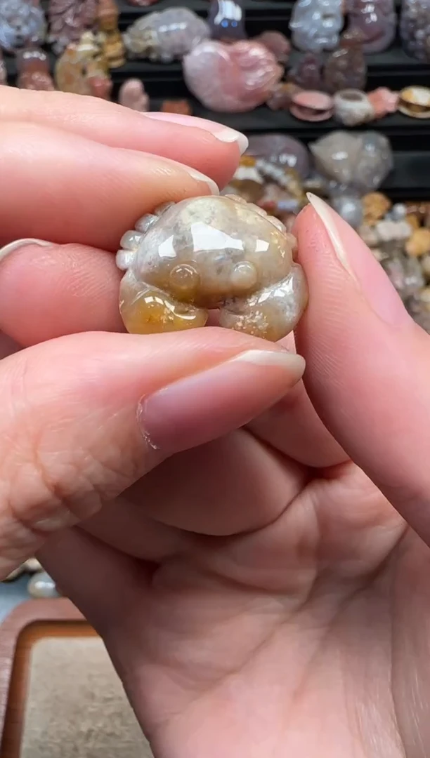 颈饰未镶嵌硅化珊瑚（珊瑚玉）807