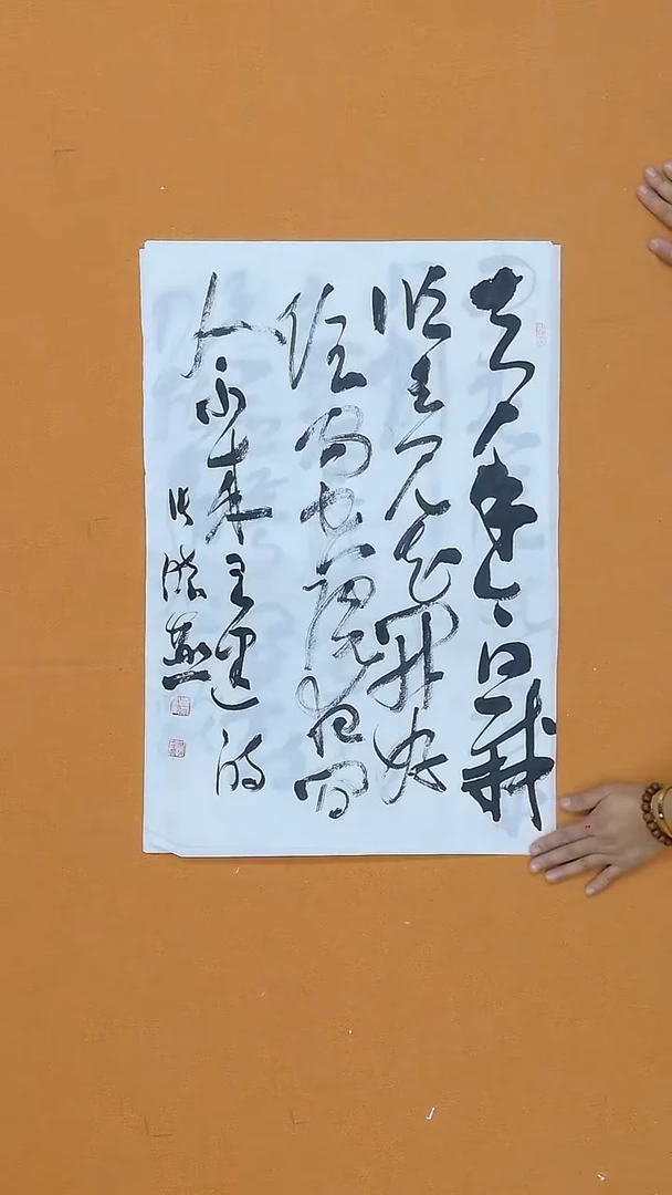 书法张晓燕  甘肃理S    45*68