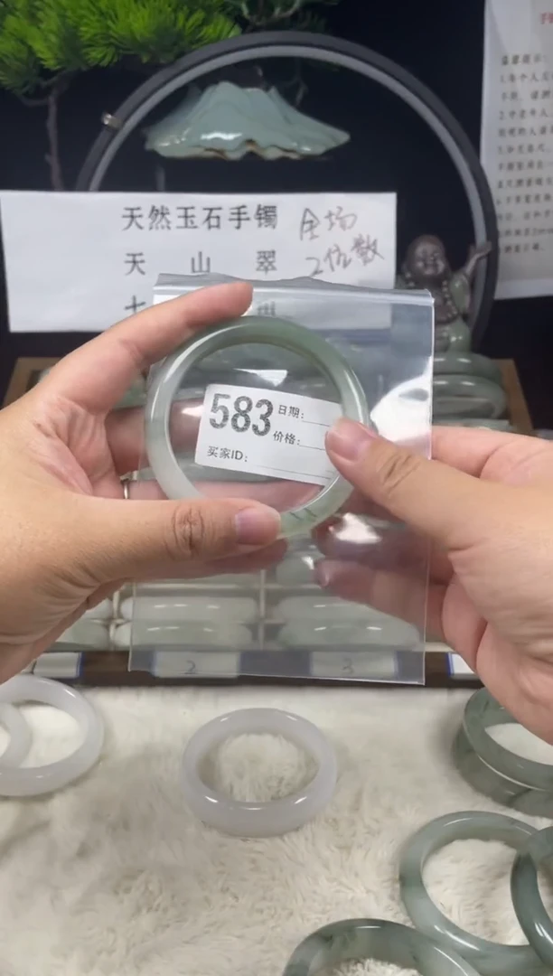 未镶嵌手镯石英质玉（天山翠）583