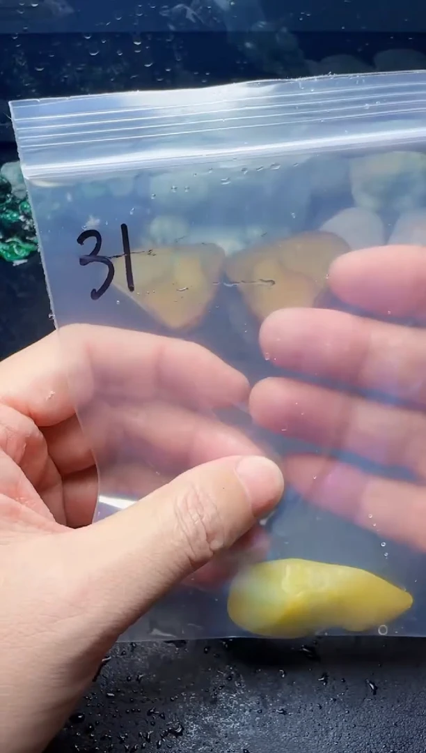 颈饰未镶嵌翡翠肉*31