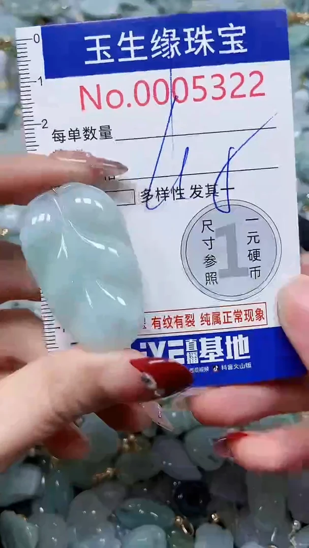 【闪购商品】翡翠颈饰未镶嵌闪购00005322