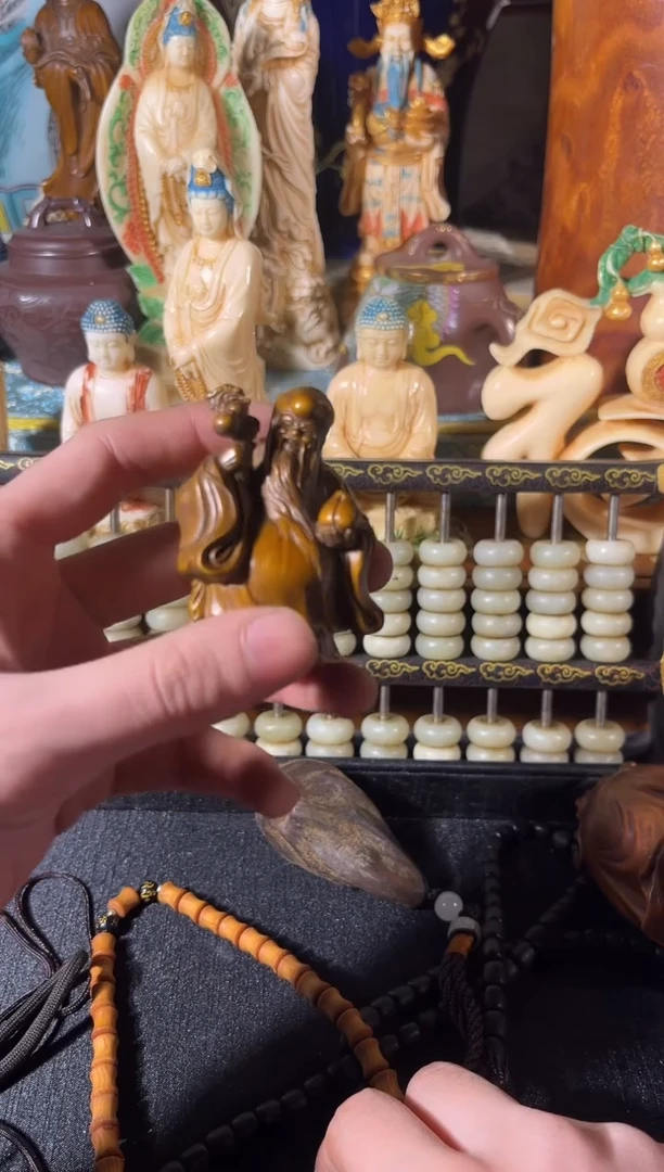 黄杨木1111111111111