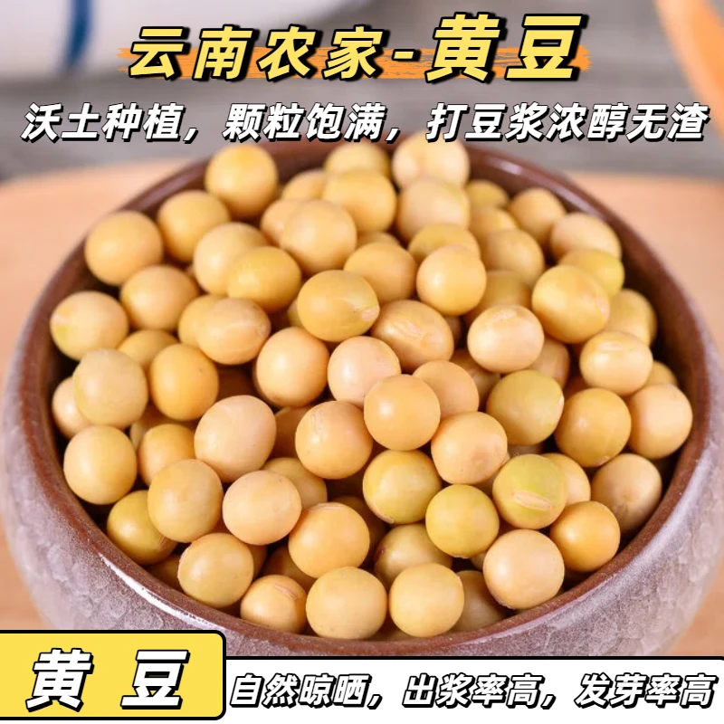 东北农家老品种生黄豆浆专用材料包五谷杂粮组合正宗新鲜豆芽豆