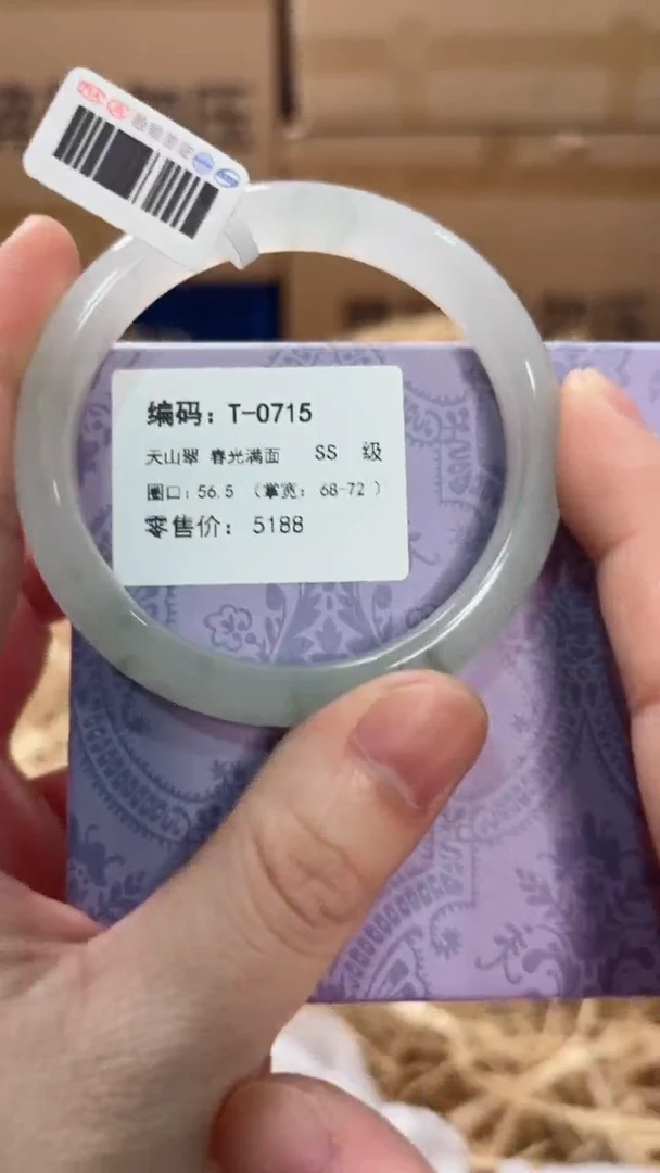 未镶嵌手镯石英质玉T-0715