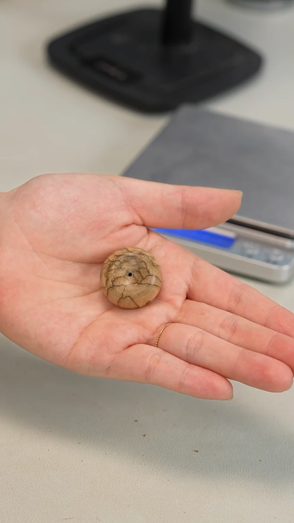 沉香沉香碎屑老西马平安扣小号