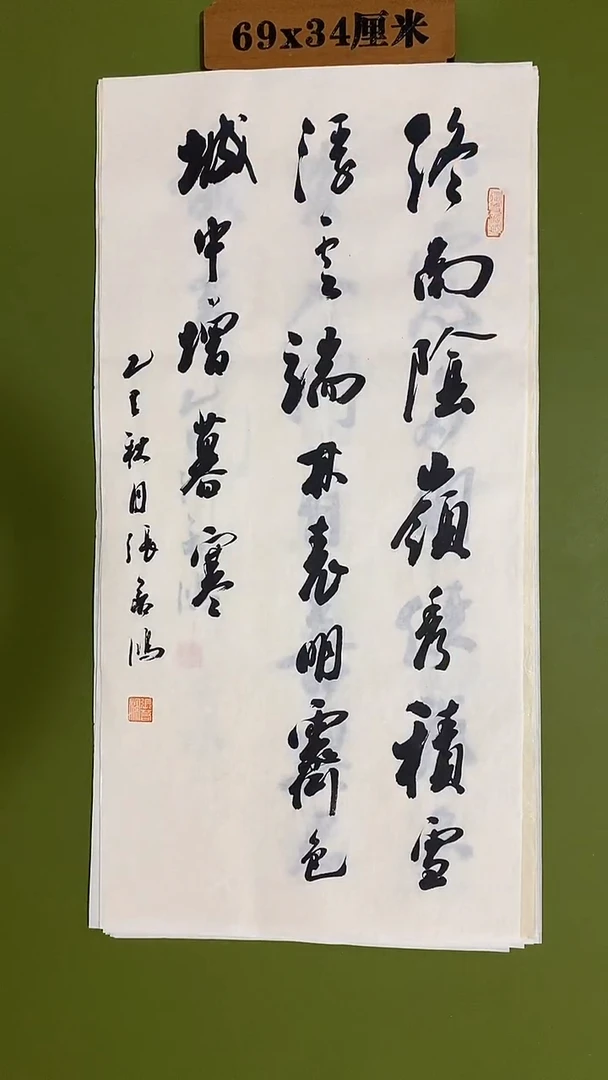书法书法 张若鸿 尺寸69cm*34cm