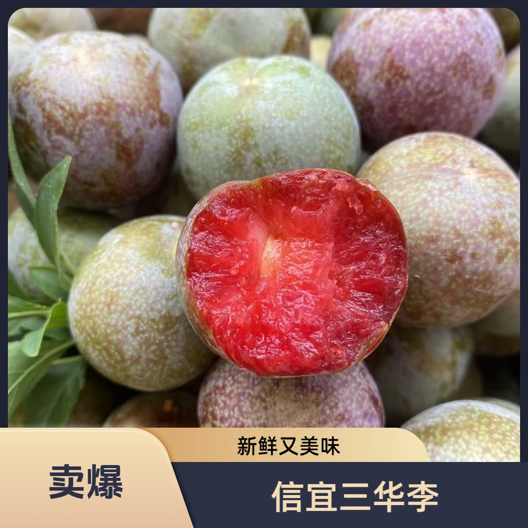 高山种植红心三华李新鲜现摘酸甜脆口孕妇水果【广西中通水果专线】