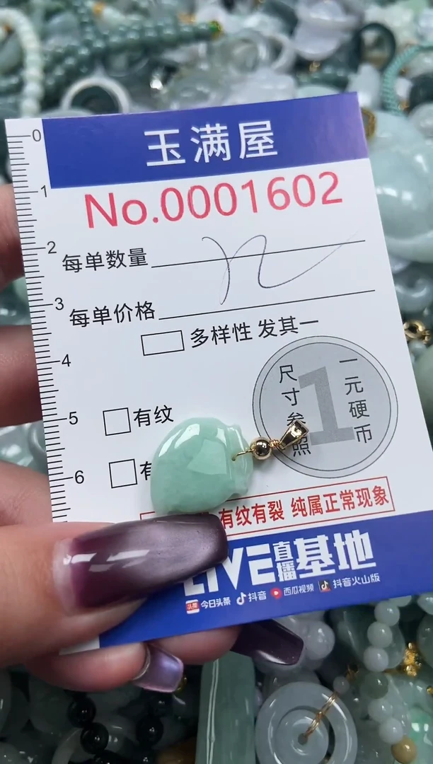 颈饰未镶嵌翡翠1602