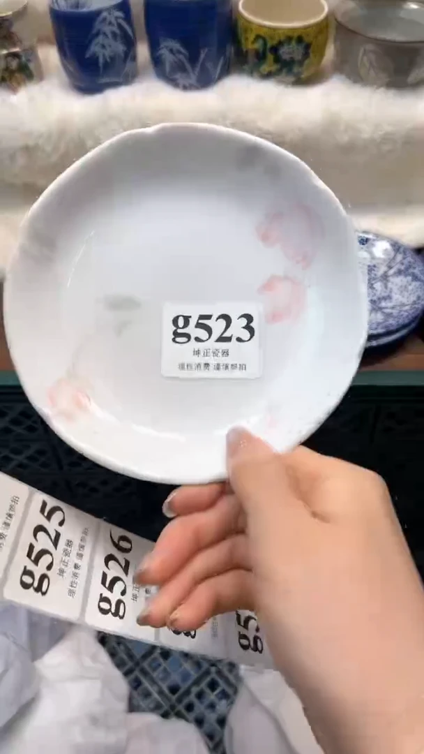 【闪购商品】瓷片          g523