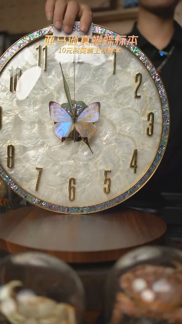 蝴蝶标本摆件拍卖l188