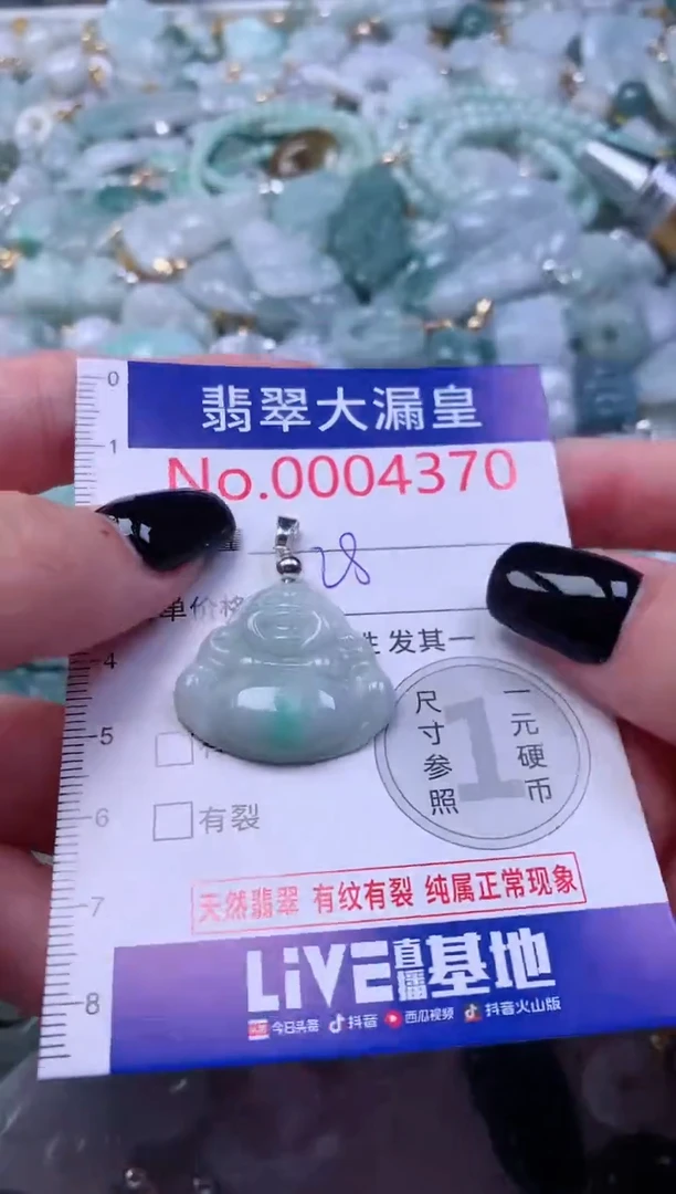 颈饰未镶嵌翡翠4370