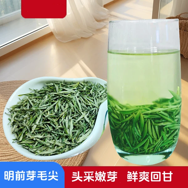 五峰高山茶2025新茶炒青绿茶高山云雾绿茶宜昌毛尖明前高山绿茶