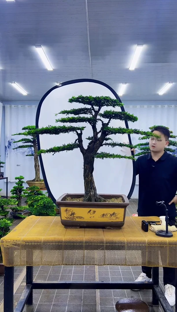 无花朵本****己00000000000000000