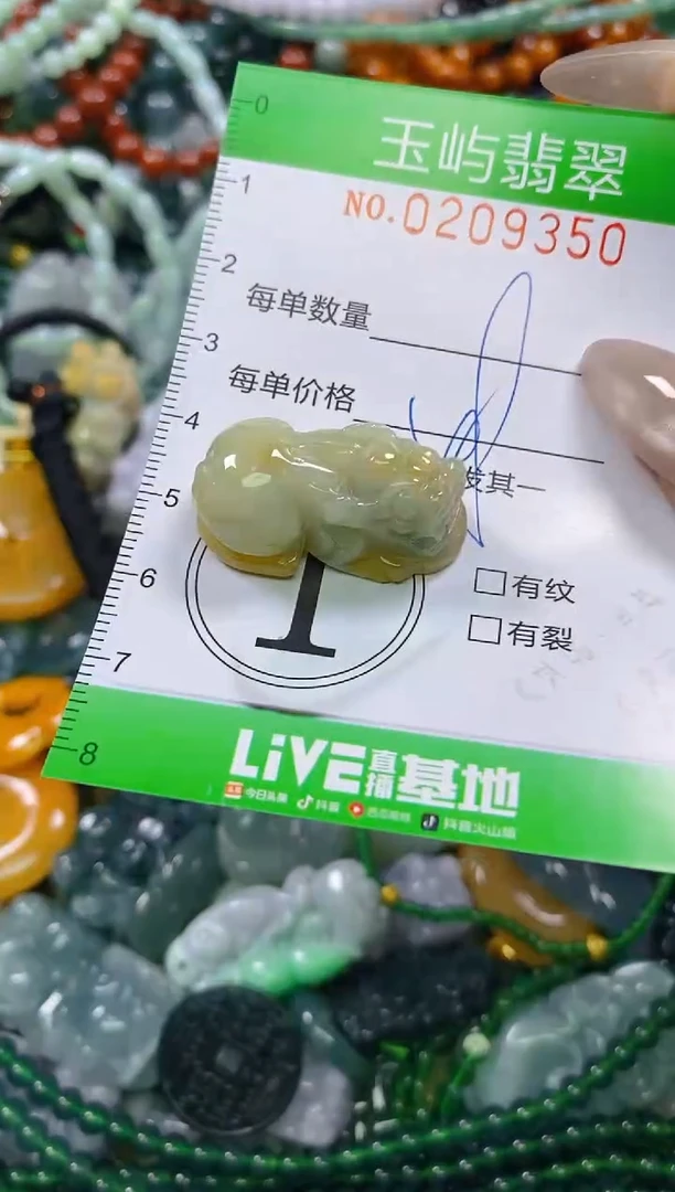 颈饰未镶嵌翡翠闪购0209350