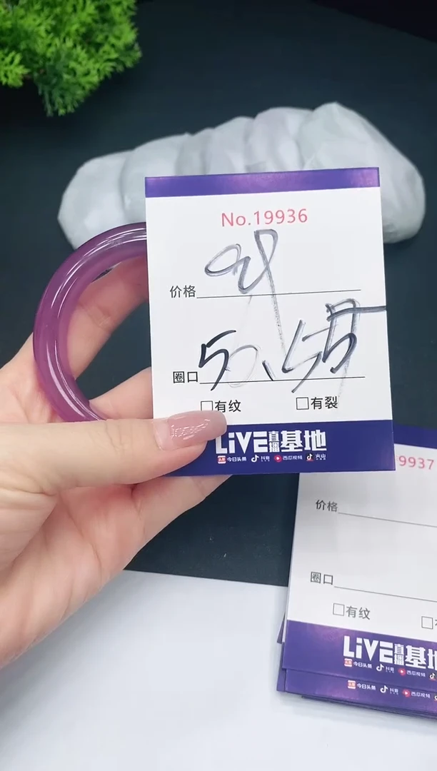 未镶嵌手镯翡翠19936