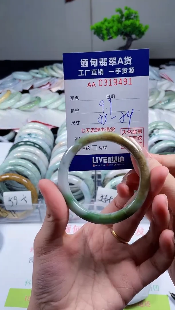 未镶嵌手镯翡翠天然翡翠A货9491
