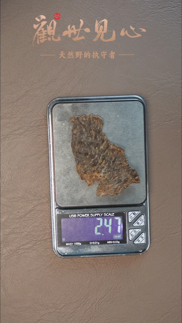 沉香沉香碎屑海南琼中壳料 2.47g