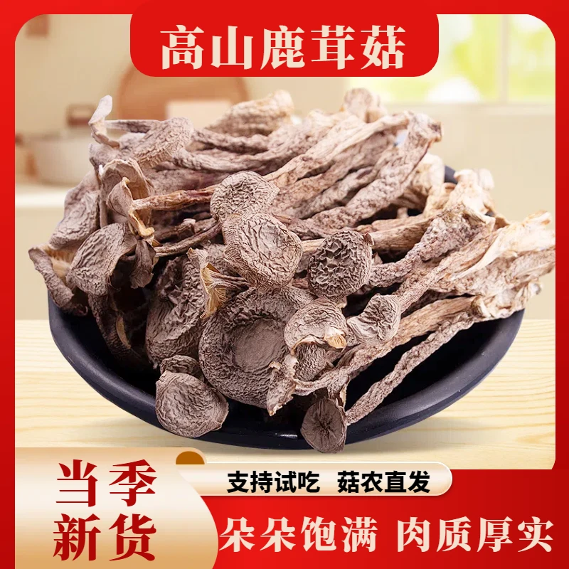 【高山鹿茸菇】菇农直发500g自然晾晒干货炒菜煲汤鲜嫩 脱水蔬菜