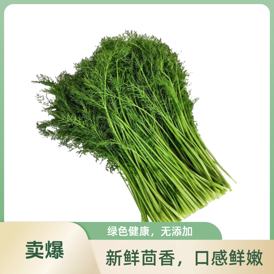 云南茴香菜 250g/袋【好东西】绿色蔬菜