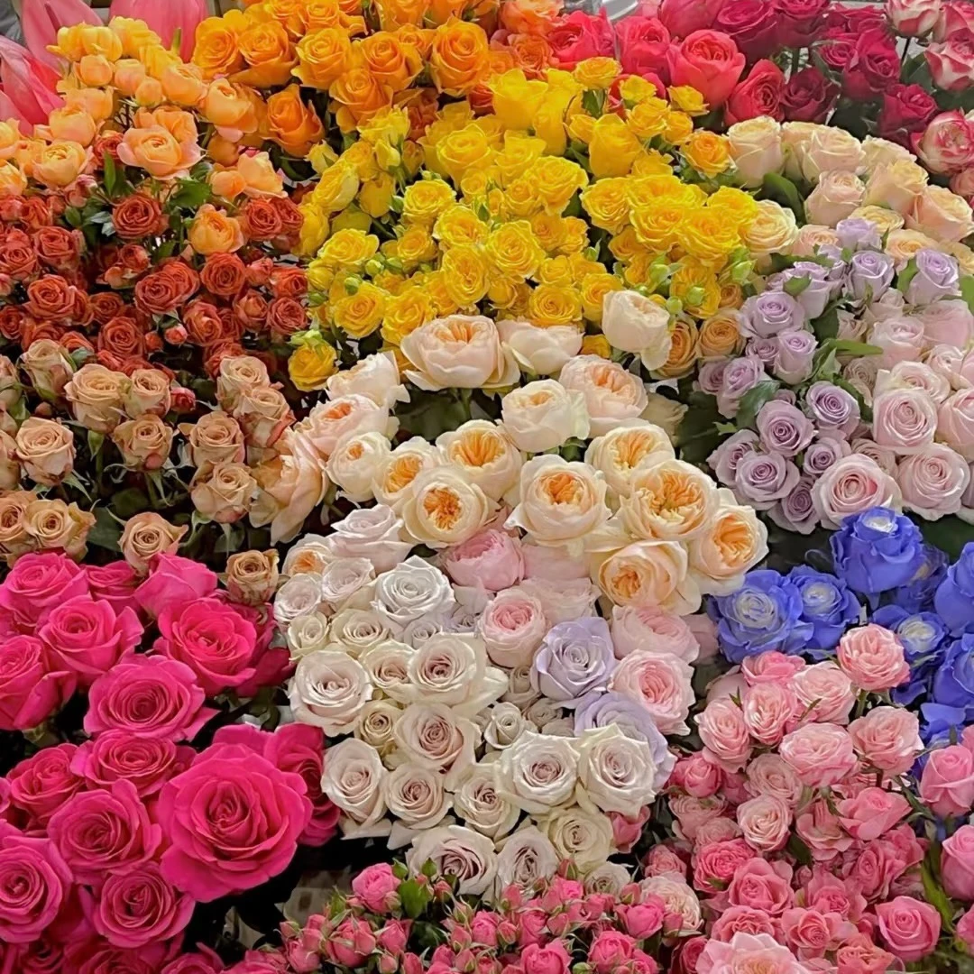 【春日来信】不选品鲜花  两单以上包邮