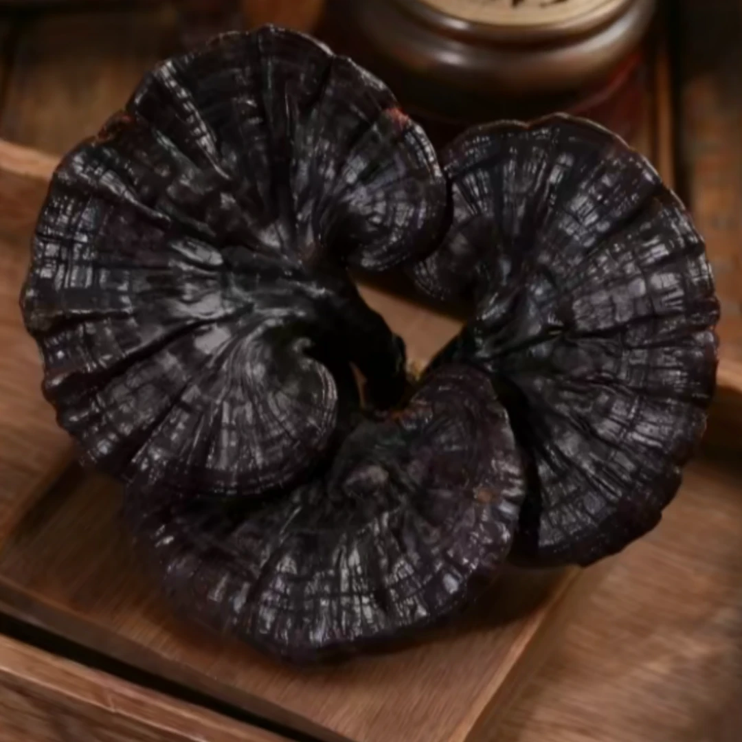 滋补珍贵稀有紫灵之   【500克送研磨机】