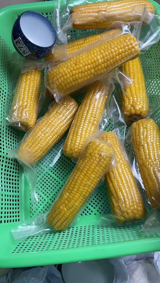 瓷片瓷器瓷器瓷器瓷器