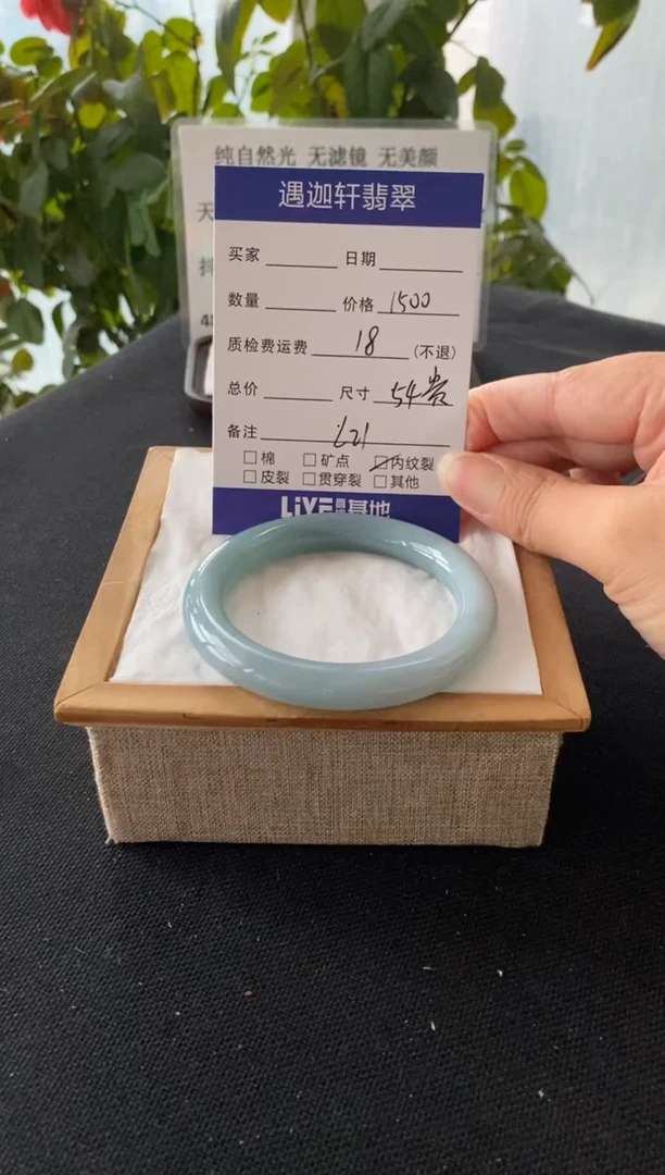 未镶嵌手镯翡翠54圈口 L21编码