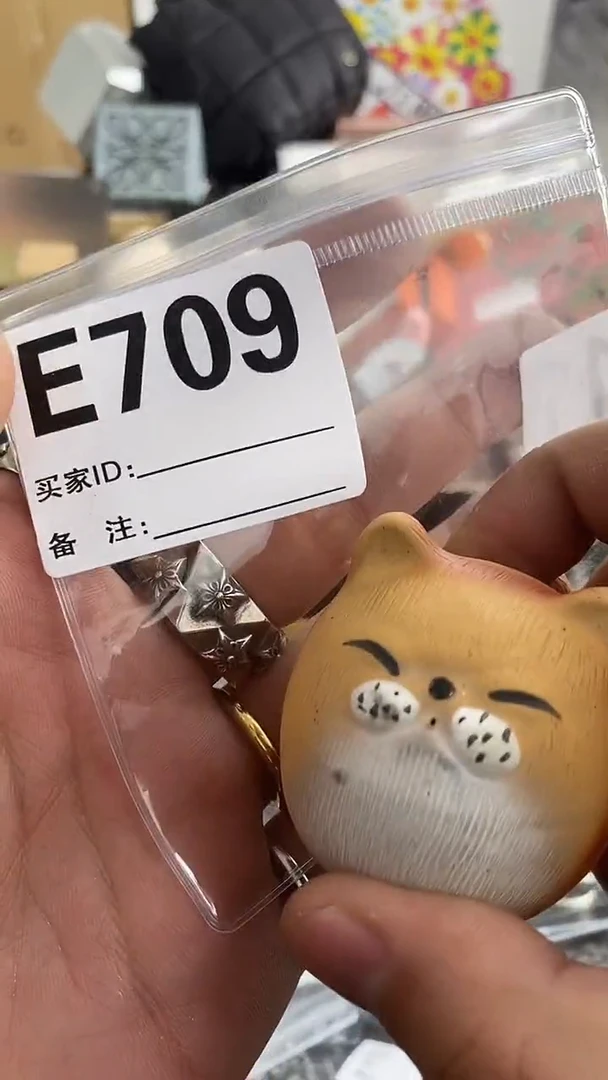 【闪购商品】E709日辉杂货铺8888888