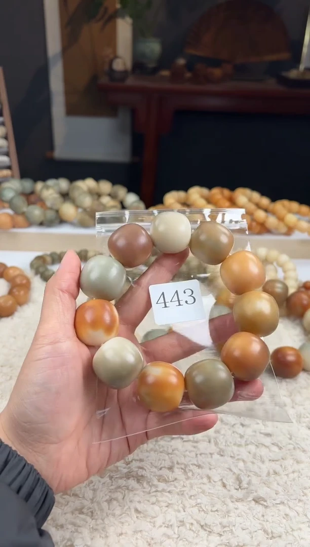 【闪购商品】菩提根/象牙果手串26瑕疵（443）