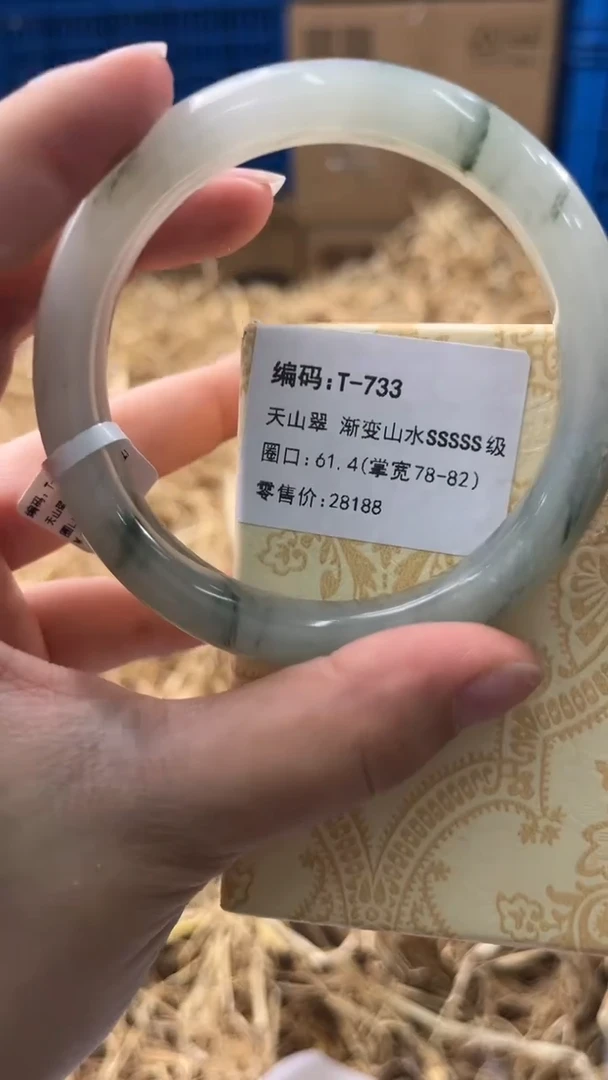 未镶嵌手镯石英质玉T-733