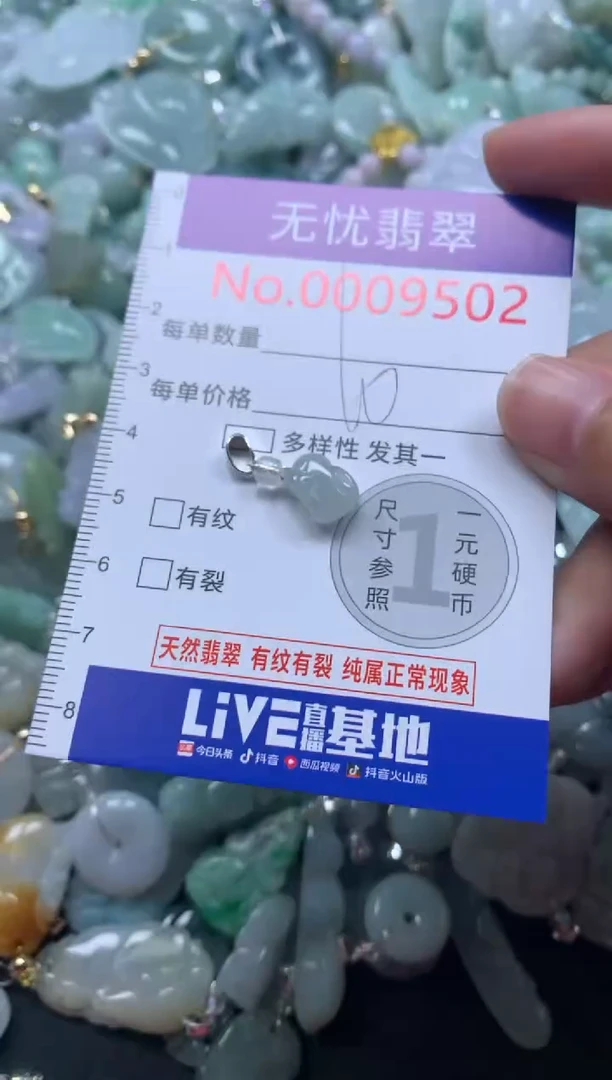 颈饰未镶嵌翡翠9502