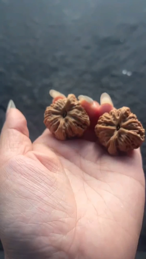 文玩核桃吊坠小***者南将