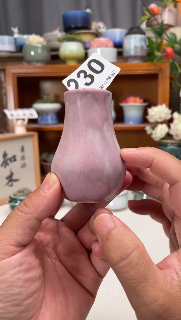 瓷片230知木小芳花盆