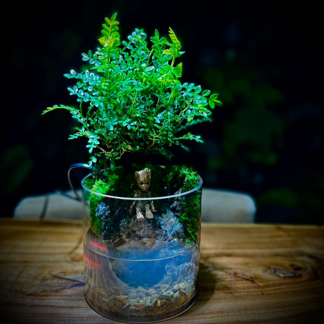 揽山【我的世界】桌面水陆微景观办公室工c位首选