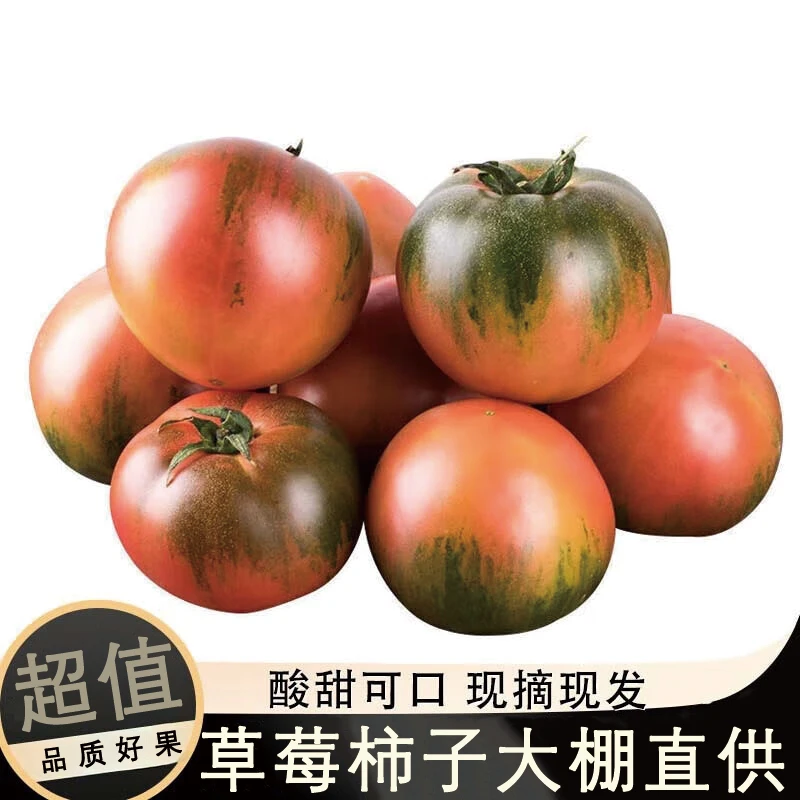 【特价大果】草莓柿子水果番茄酸甜多汁现摘现发内蒙古自治区