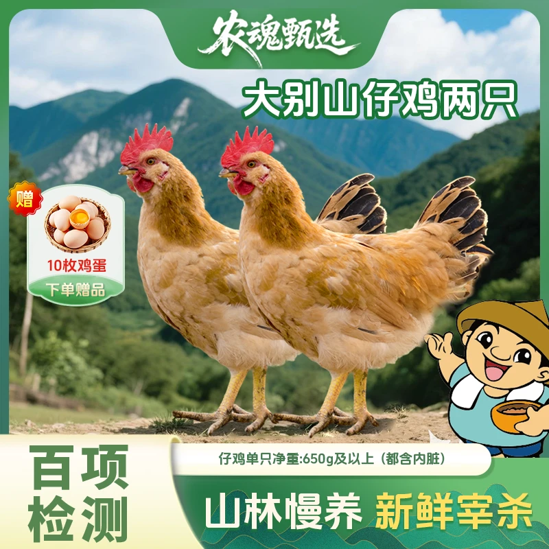 【大别山仔公鸡双只】地标金寨土鸡大别山散养跑山鸡农家土鸡送鸡蛋
