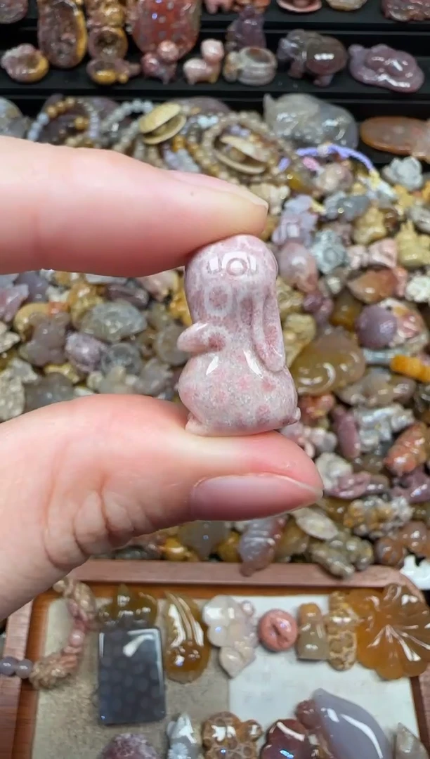 颈饰未镶嵌硅化珊瑚（珊瑚玉）573