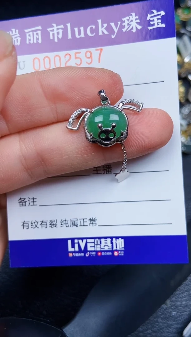 翡翠银S925镶嵌颈饰2597