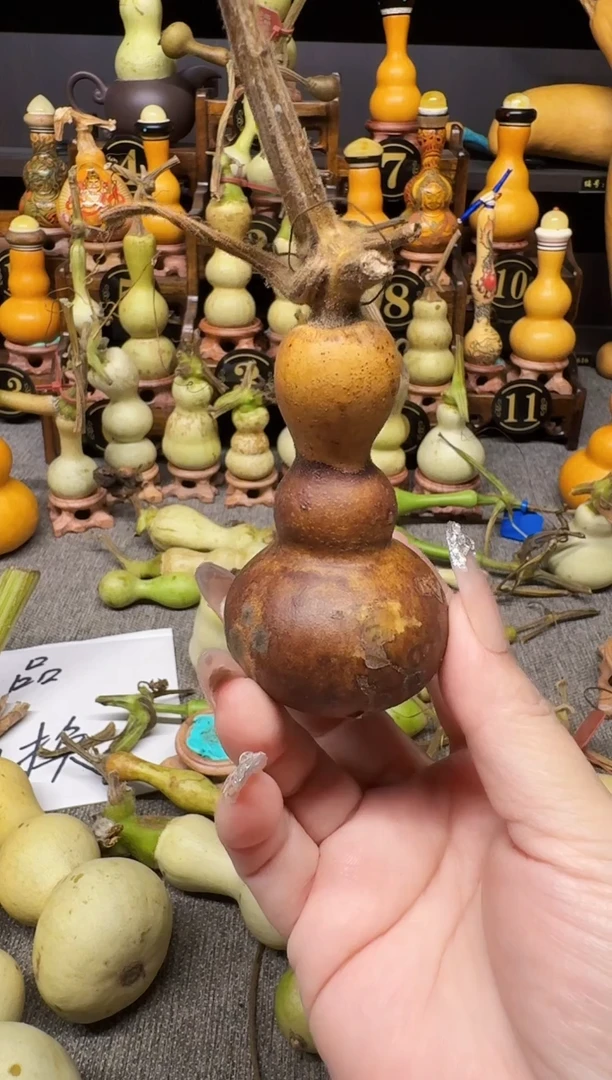 一*高端葫芦高端客户