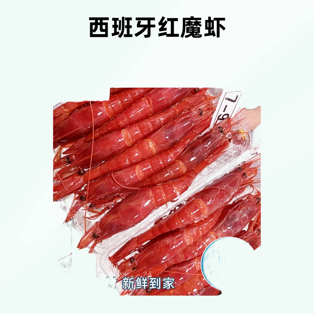规格可自选 西班牙 红魔虾 海鲜鲜活冷冻 超大刺身虾 生腌 熟吃 500g