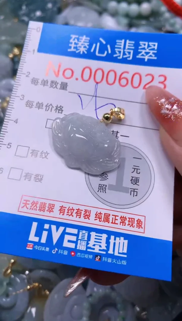 翡翠未镶嵌颈饰含绳0006023