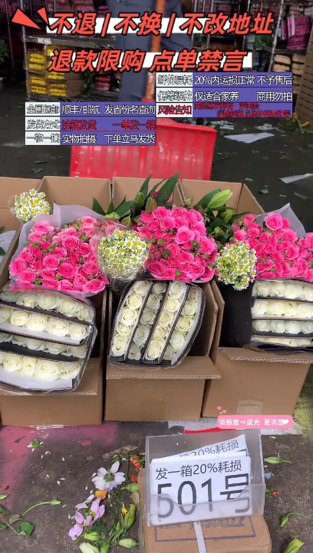 501号♥含20%耗损发一箱