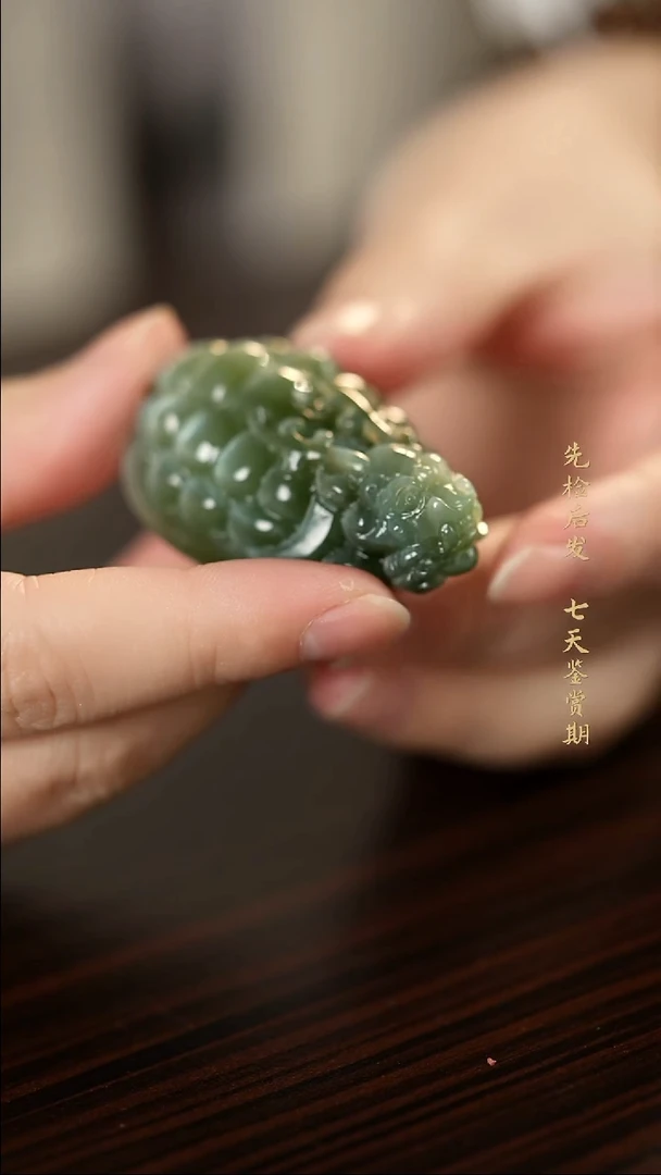 吊坠(不含链)未镶嵌和田玉龙龟LS5298