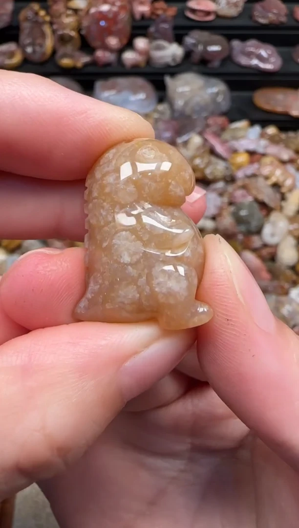颈饰未镶嵌硅化珊瑚（珊瑚玉）687