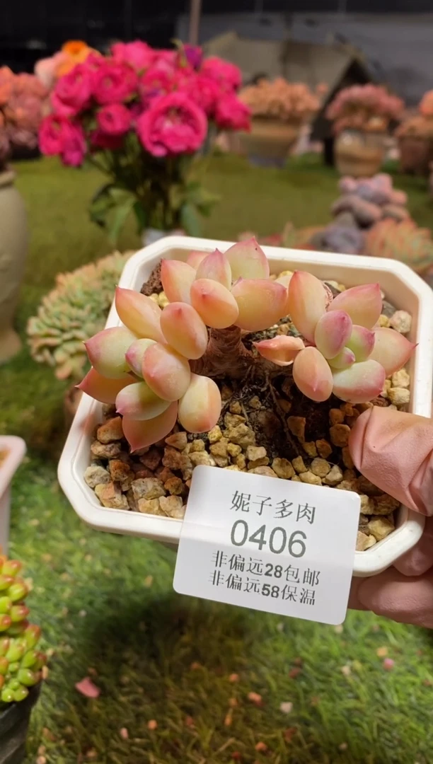 【闪购商品】0406a