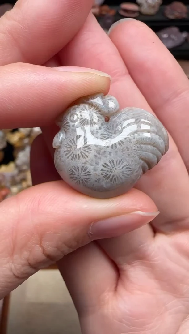 颈饰未镶嵌硅化珊瑚（珊瑚玉）648